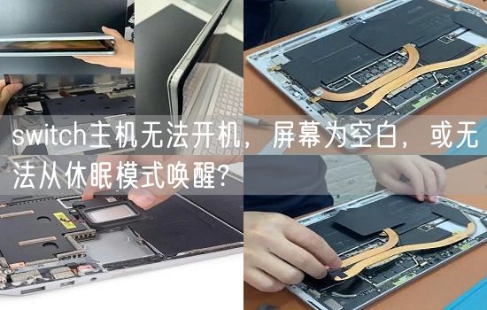 switch主机无法开机，屏幕为空白，或无法从休眠模式唤醒?(图1)