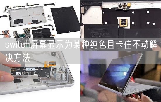switch屏幕显示为某种纯色且卡住不动解决方法(图1)